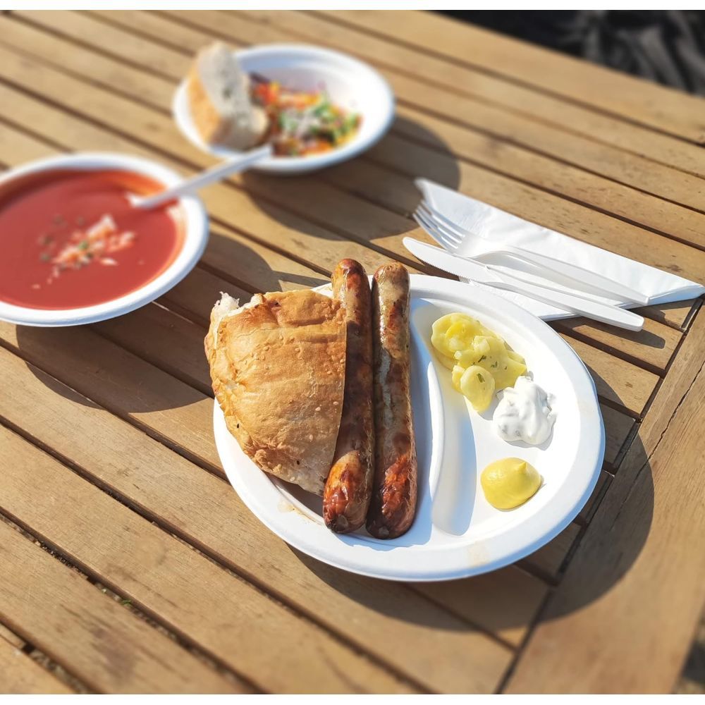 125 Piatti piani da 23 cm a due scomparti in bagassa BIOCOMPOSTABILI