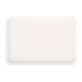 125 PZ Vassoio Rettangolare in Bagassa 27.5x19 cm Biocompostabile