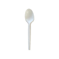 100 CUCCHIAINI Dessert in CPLA Compostabili Biodegradabili colore Bianco
